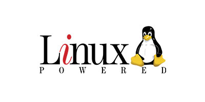 DSI partnership with Linux image.